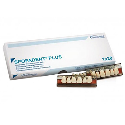 Полный гарнитур зубов Spofadent Plus 62-0/11-79N