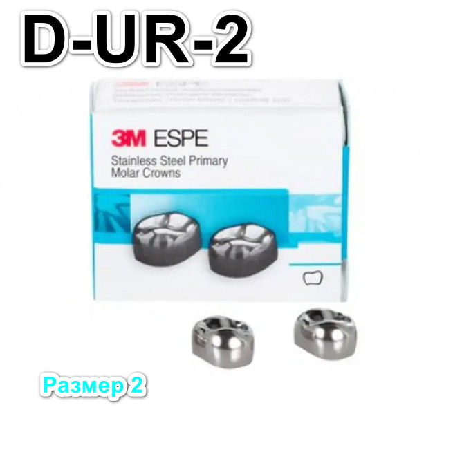 Коронки Stainless Steel Crowns первый верхний правый моляр, р-р2 D-UR-2, 2 шт.