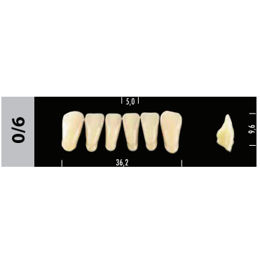 Зубы Super Lux 0/6 фронтальный низ, 6 шт.