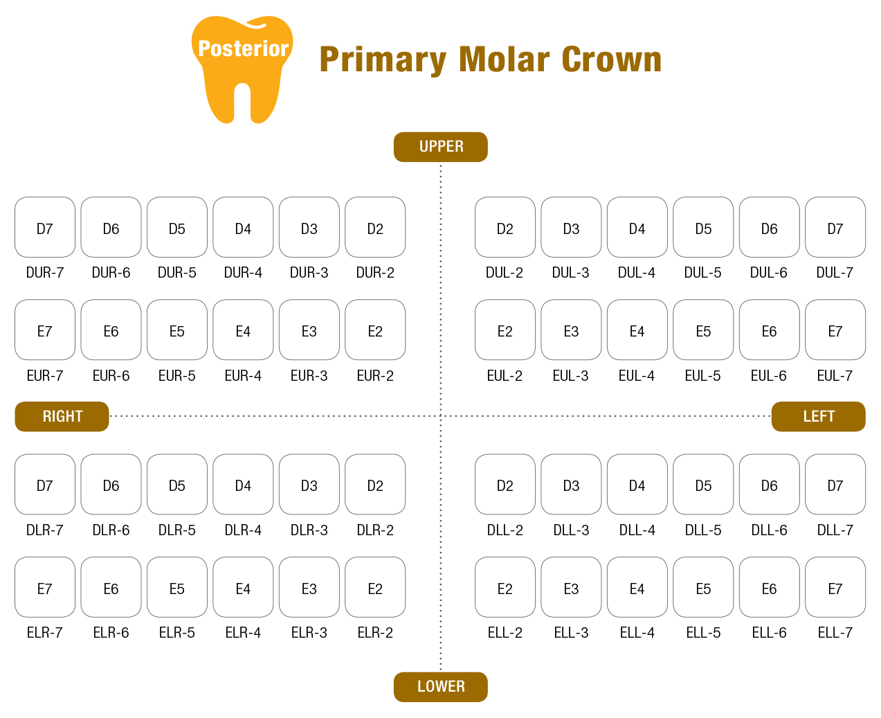 Коронки CROWN Refill EUL-4 из нержавеющей стали детские (5 шт) Seil Global