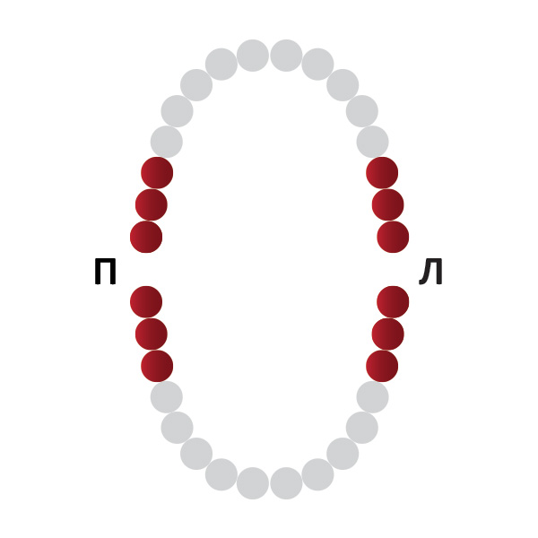 Кламп № 14Т Medenta