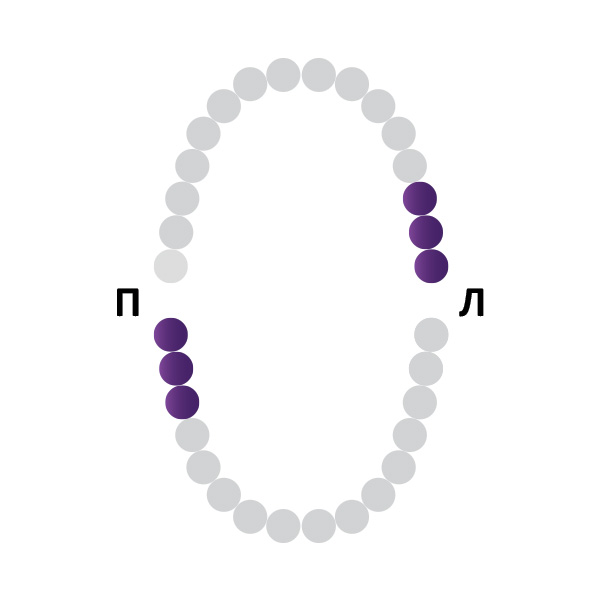Кламп № 14A Medenta