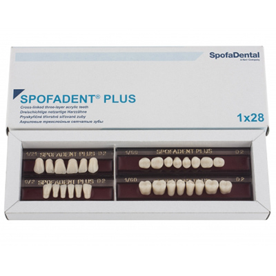 Полный гарнитур зубов Spofadent Plus 52-0/5-1/60