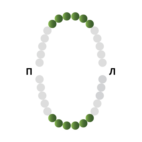 Кламп № 6 Medenta