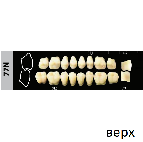 Зубы Super Lux 77N жевательный верх, 8 шт.
