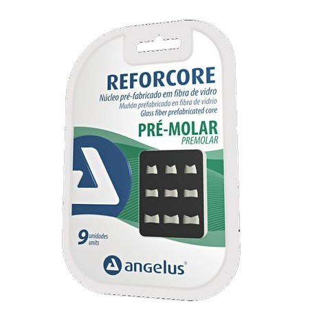 Заготовка стеклов. Reforcore Premolar