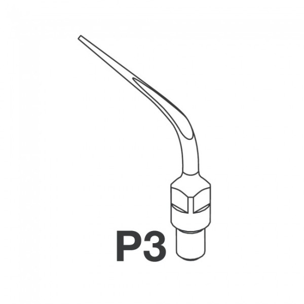 P3