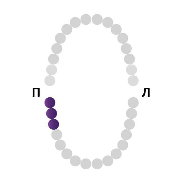 Кламп № 31 Medenta