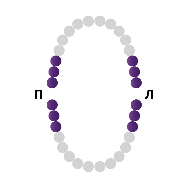 Кламп № 200 Medenta