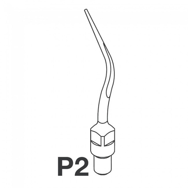 P2