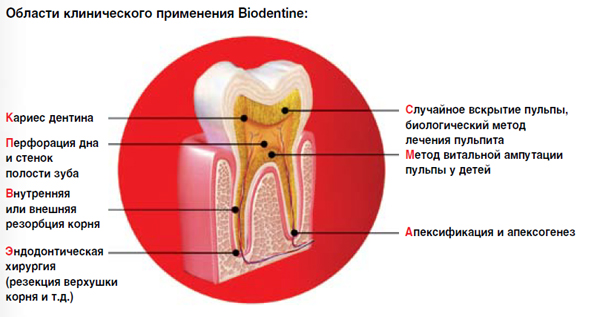 biodentine-septodont.jpg