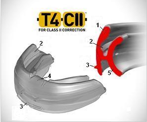 T4CII.JPG
