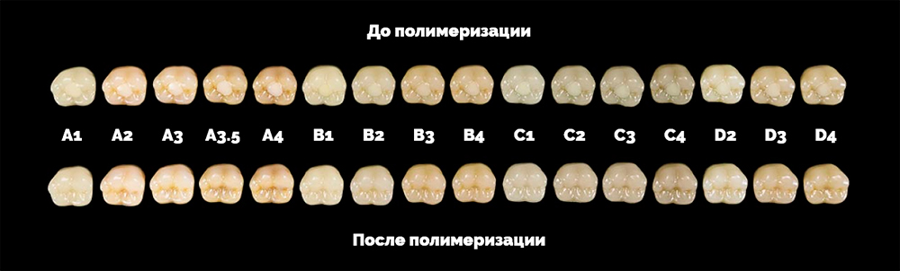 Omnichroma-cveta.jpg