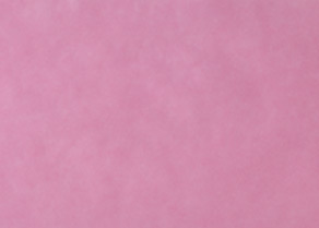 tray_paper_07розов.jpg tray_paper_07розов.jpg