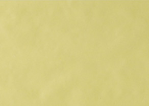 tray_paper_02желт.jpg tray_paper_02желт.jpg