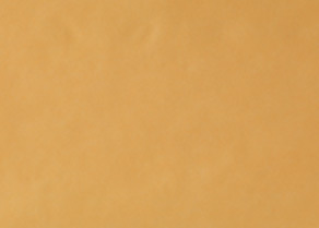 tray_paper_01оранж.jpg tray_paper_01оранж.jpg