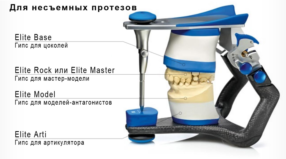 elite-arti2.jpg elite-arti2.jpg